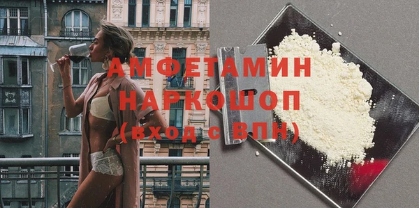 индика Богородск