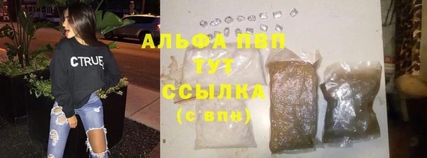 индика Богородск