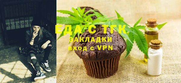 индика Богородск