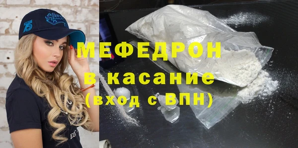 индика Богородск