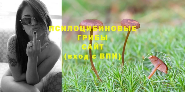 бошки Богородицк