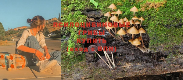 apvp Беломорск