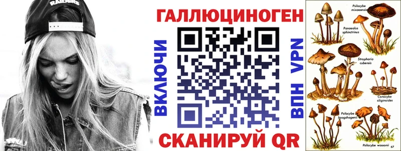 Галлюциногенные грибы MAGIC MUSHROOMS кракен ONION darknet наркотические препараты Городец