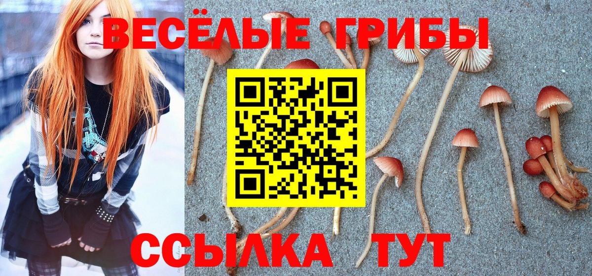Псилоцибиновые грибы прущие грибы Городец