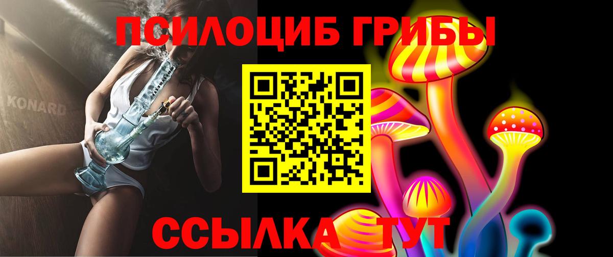 Галлюциногенные грибы Psilocybe  Вход с VPN  Городец 